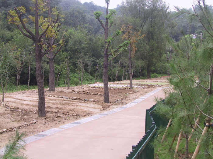 �������� - �����Ա�����