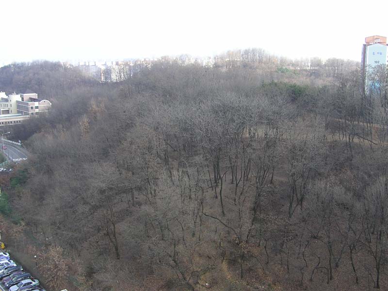 �ܺ����� - ��