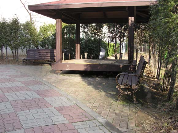 �������ü� - ���ǽü�(�ްԽǵ�)