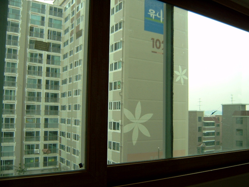 �������� - �ǳ������� ���� ����