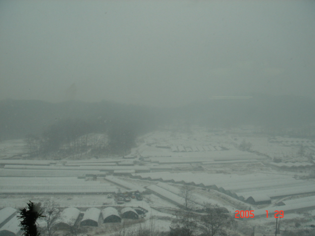 �ܺ����� - ��