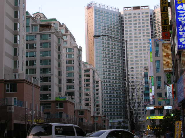 제니스