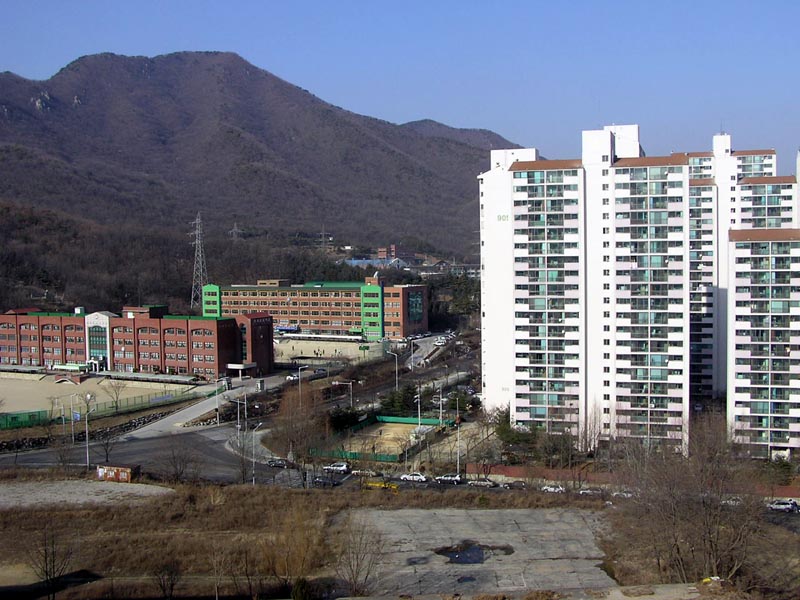 묘향(롯데) 2026