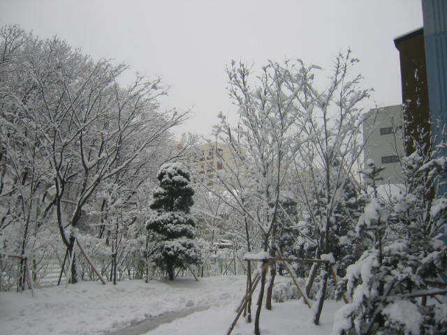 �������� - ������������