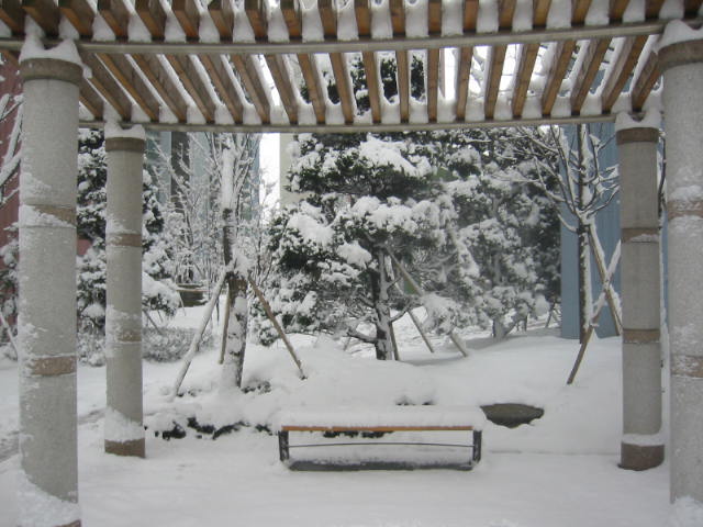 �������ü� - ���ǽü�(�ްԽǵ�)