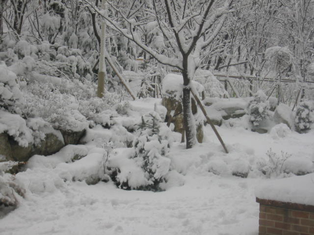 �������� - ������������