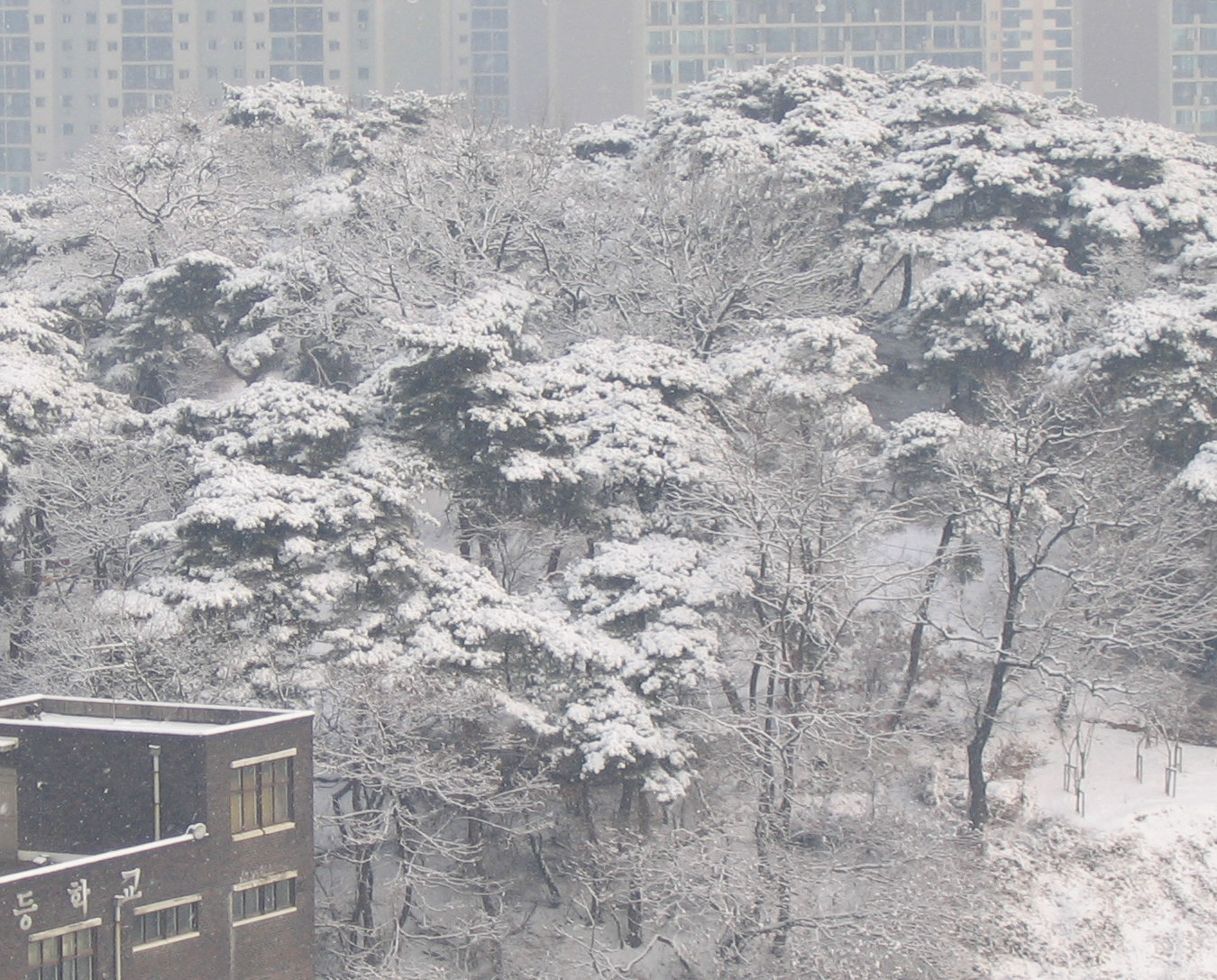 �ܺ����� - ��