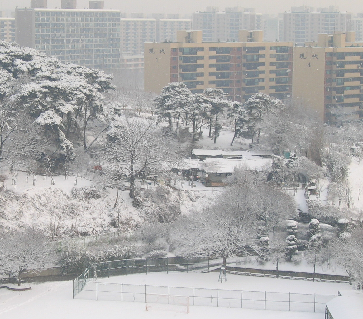 �ܺ����� - ��