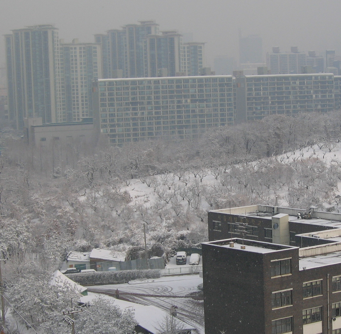 �ܺ����� - ��