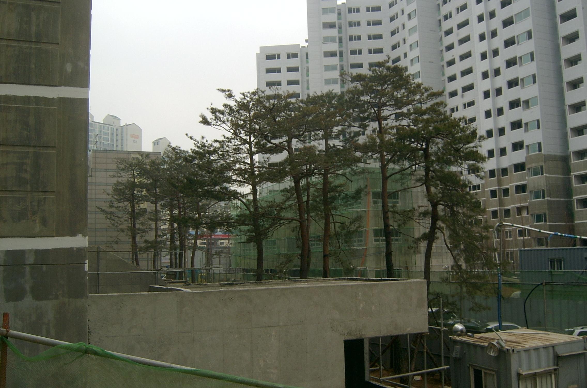 �������� - ������������