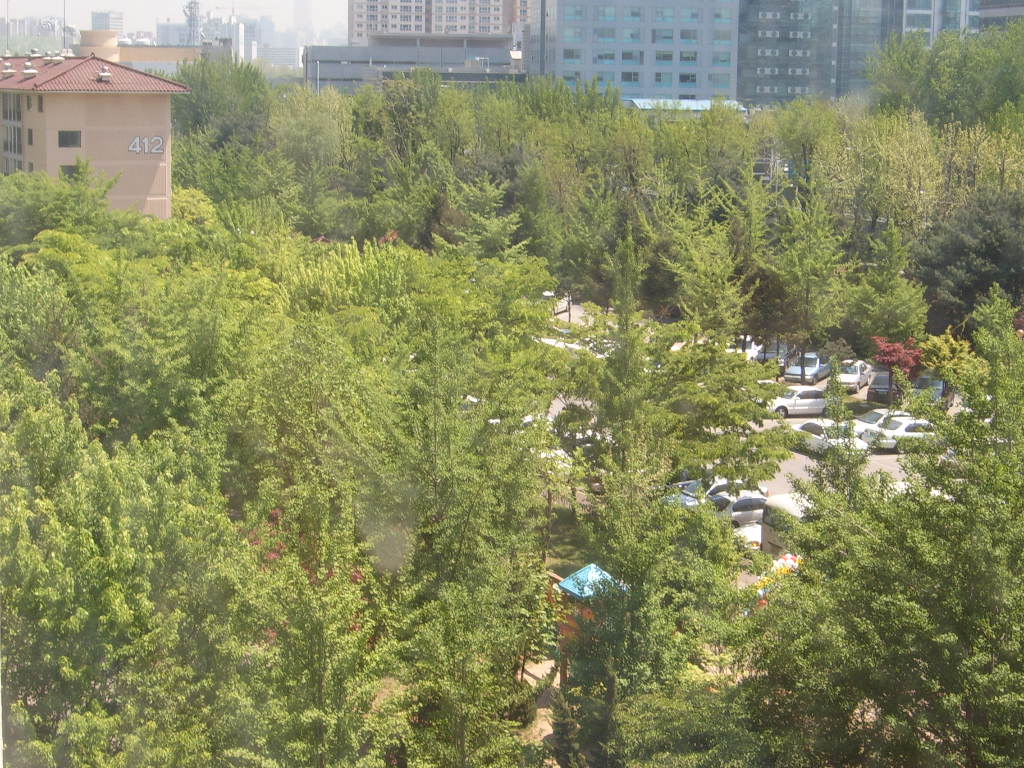 �������� - ������������