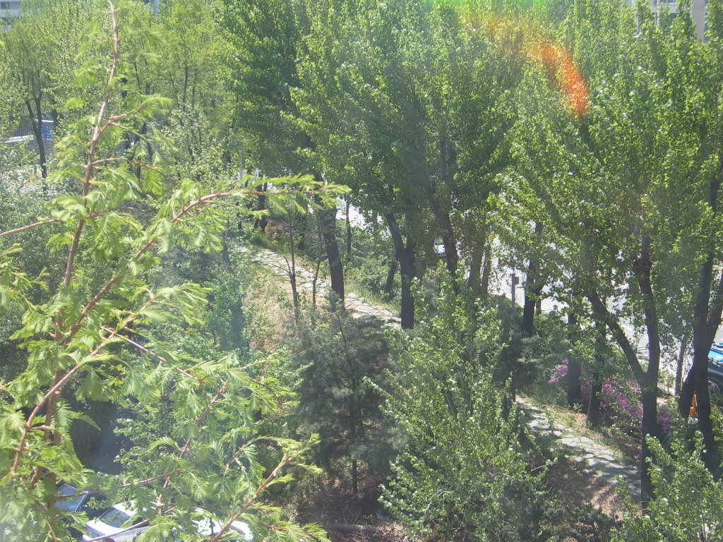 �������ü� - ��å��(����)