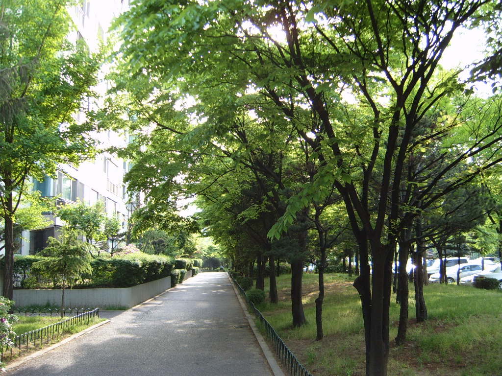 �������ü� - ��å��(����)