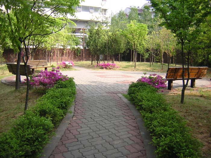 �������ü� - ��å��(����)