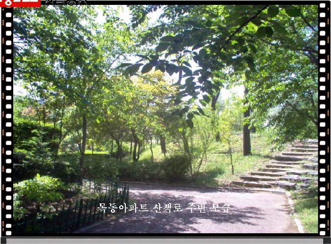 �������ü� - ��å��(����)