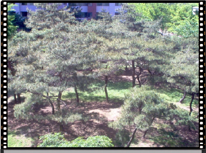 �������� - ������������