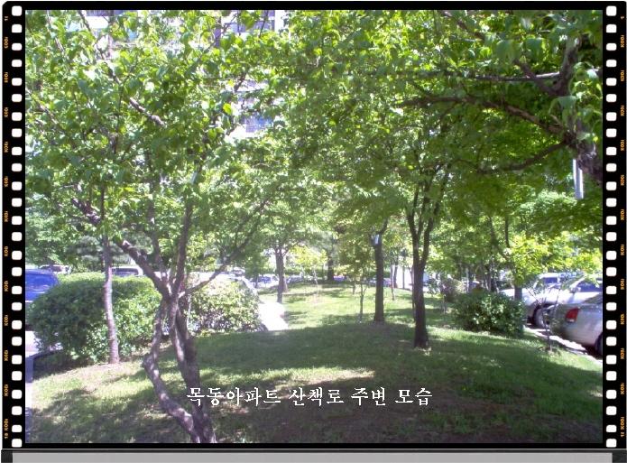 �������� - ������������