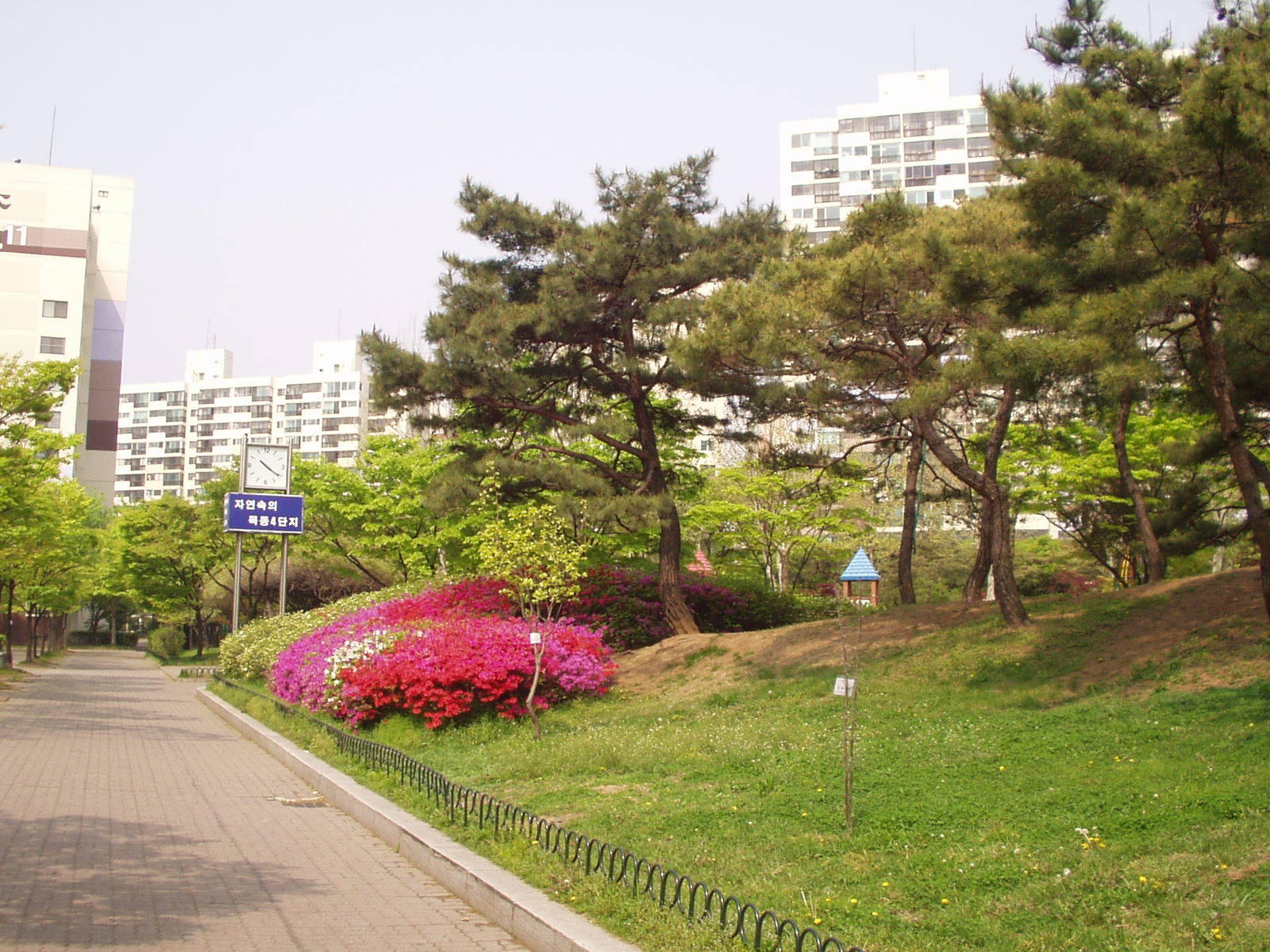 �������� - ������������