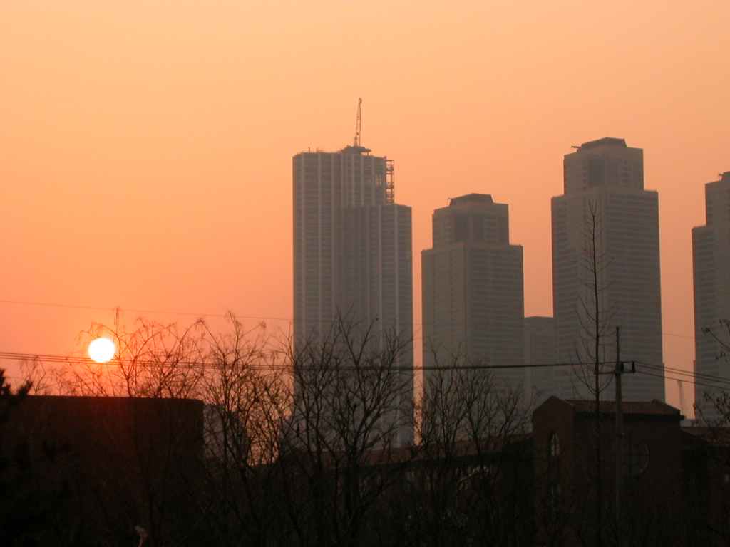 �������� - ��������