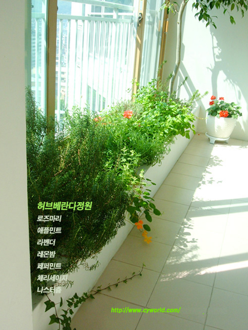 관악동부센트레빌 — 조감도
