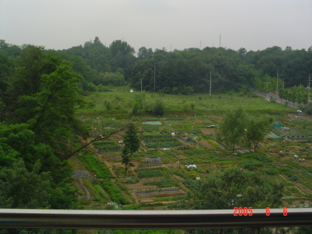 �ܺ����� - ��