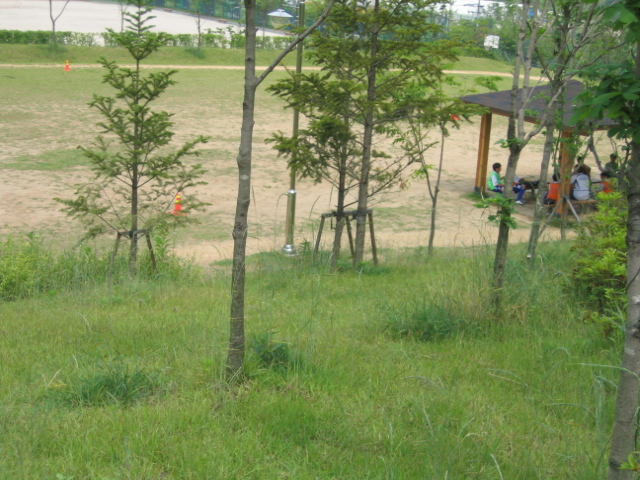용인 수지 상현동 상현공원 | 부동산뱅크 커뮤니티