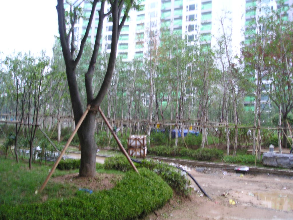 �������� - ������������