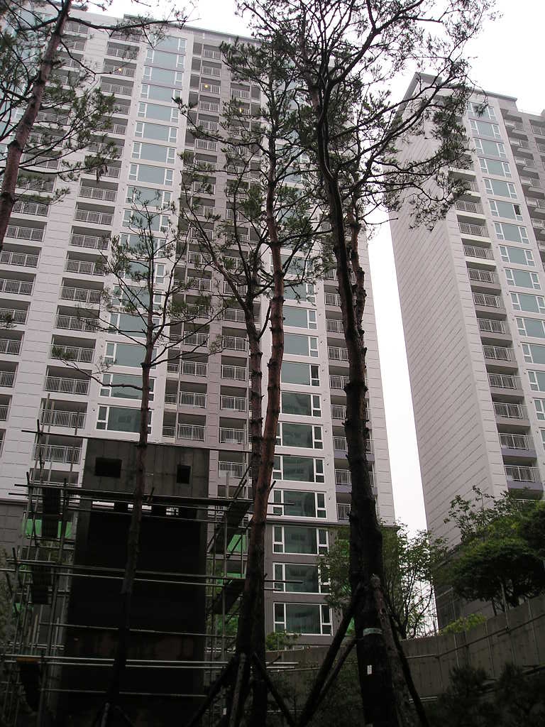 �������� - ��������