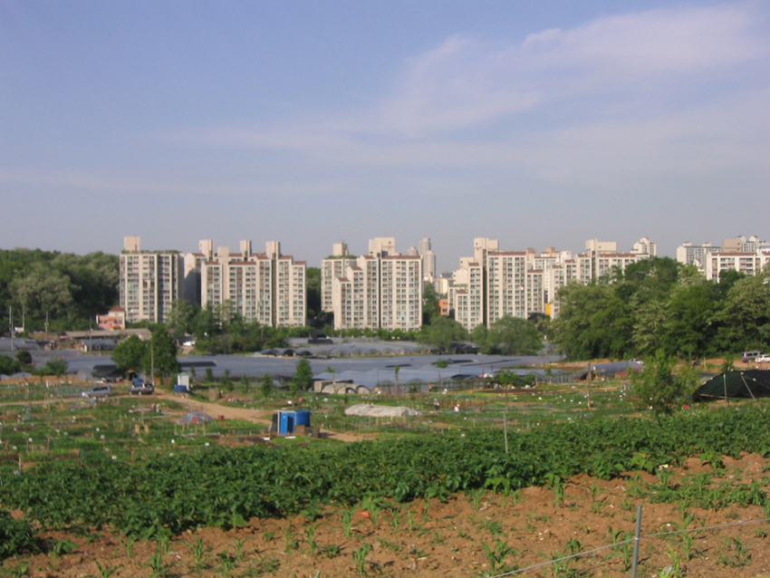 �������� - ��������