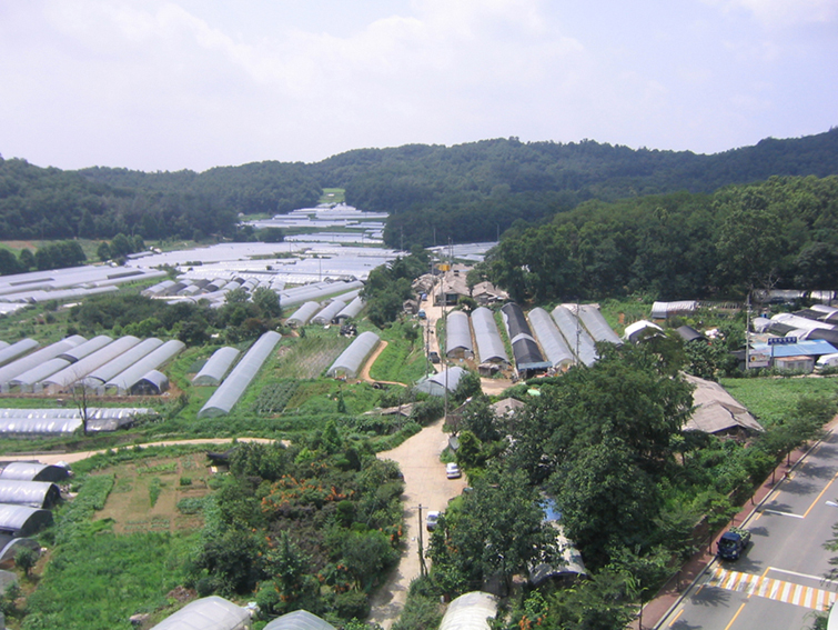 �ܺ����� - ��