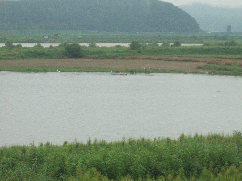 대구광역시 달성군 다사읍 대실역e-편한세상 | 부동산뱅크 단지뱅크