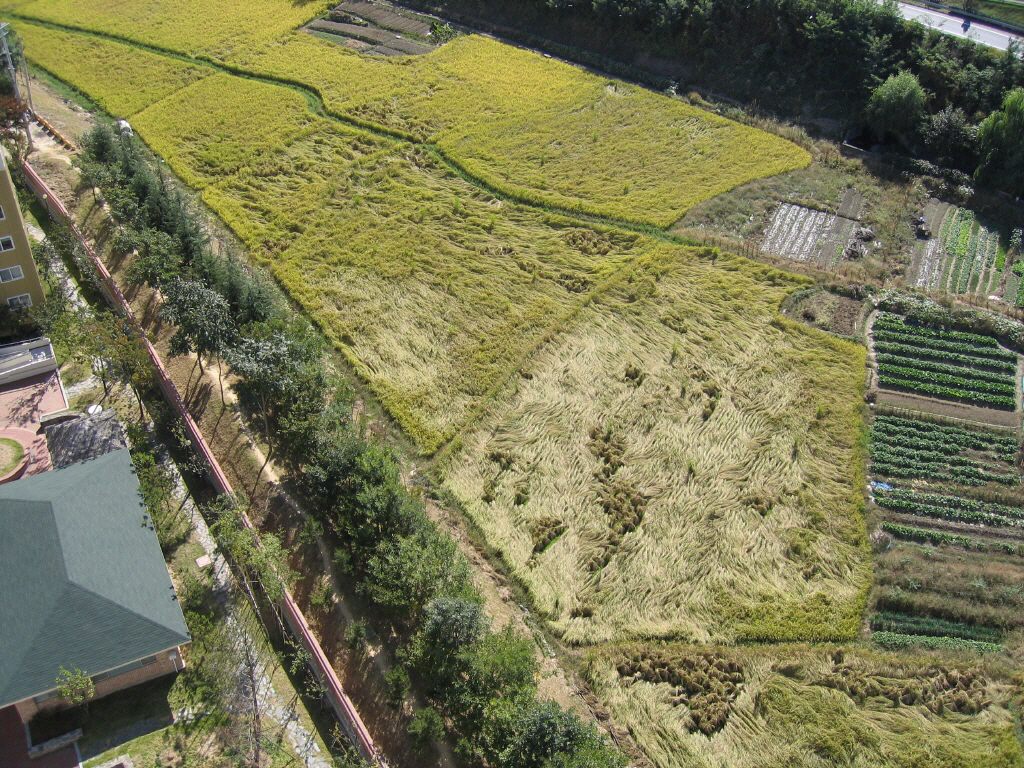 대구광역시 달서구 장기동 영남네오빌파크 | 부동산뱅크 단지뱅크