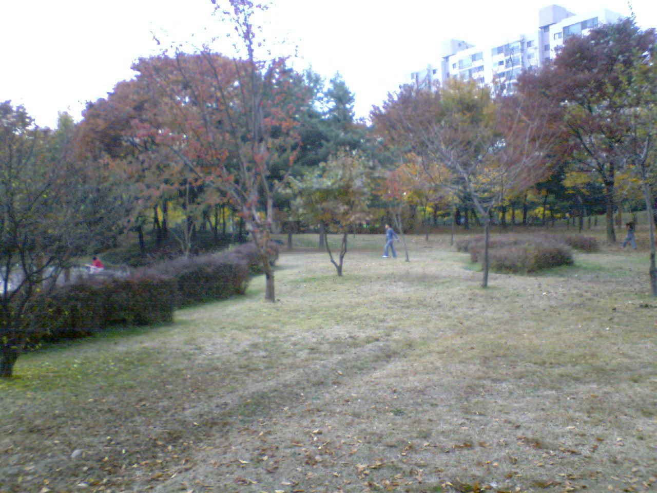 �����ֺ��ü� - �ް�/����