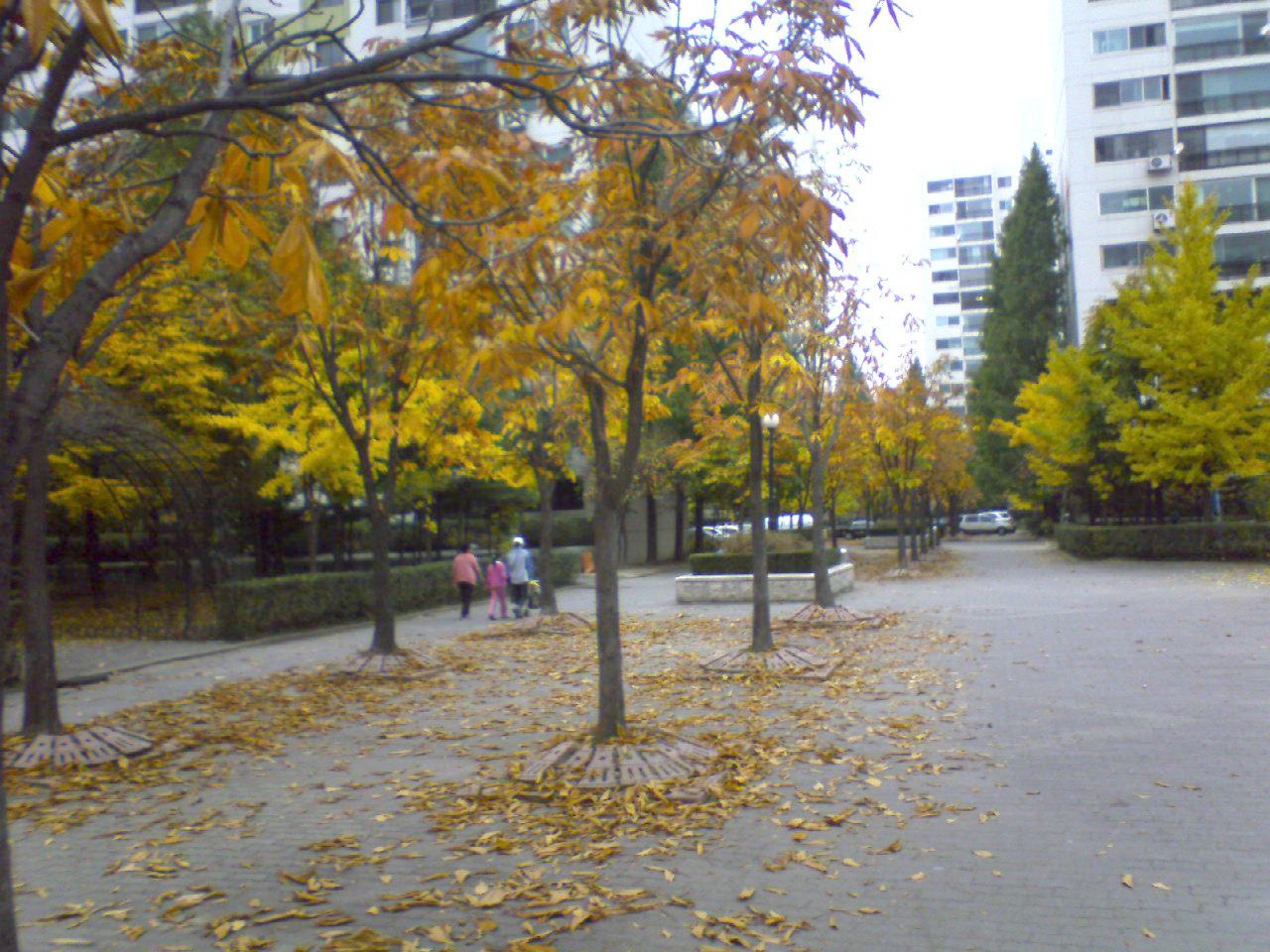 �������ü� - ��å��(����)