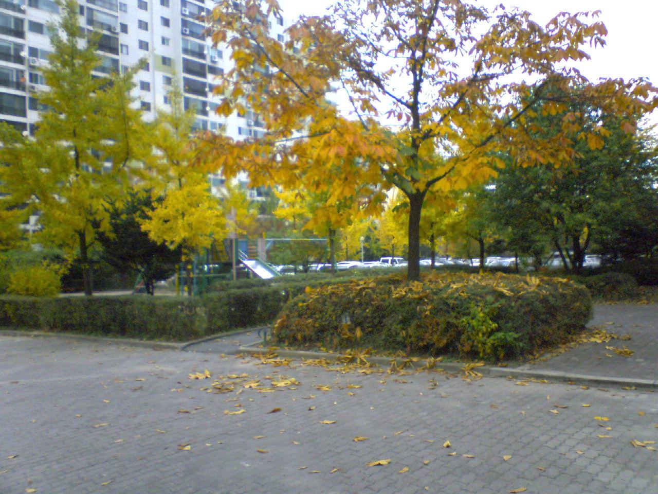 �������ü� - ��å��(����)