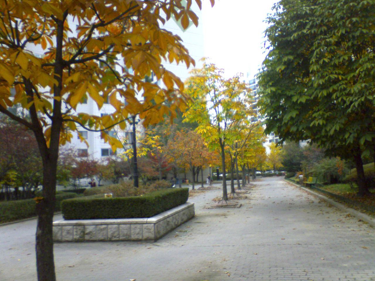 �������ü� - ��å��(����)