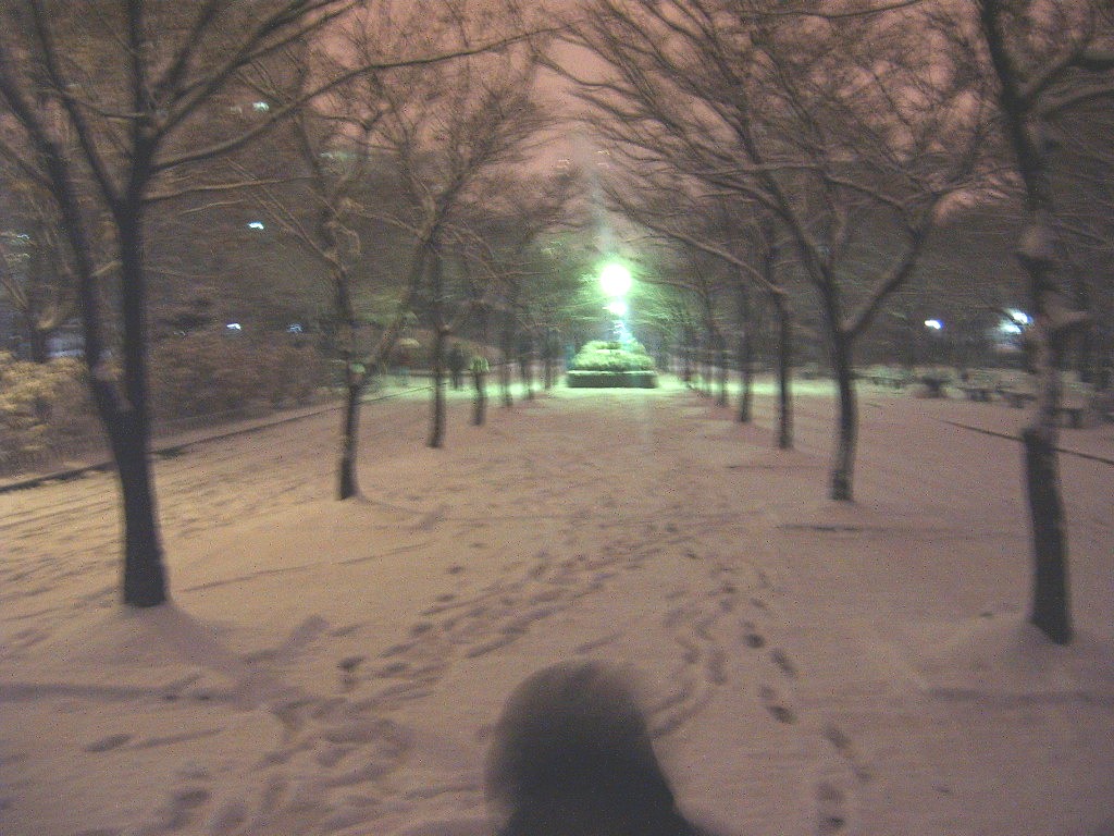 �����ֺ��ü� - �ֺ�����