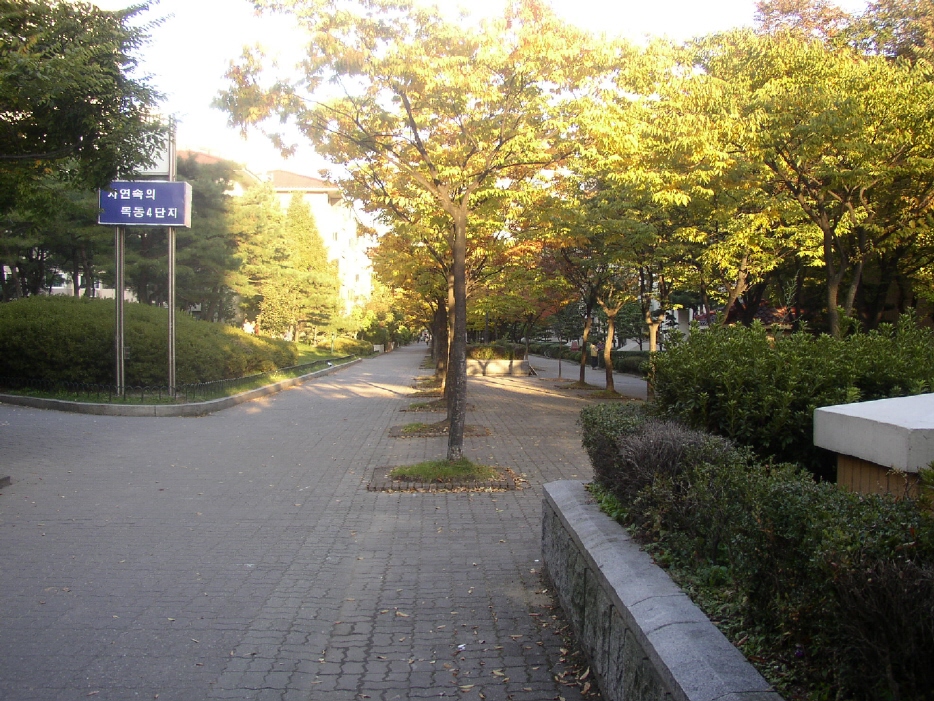 �������ü� - ��å��(����)