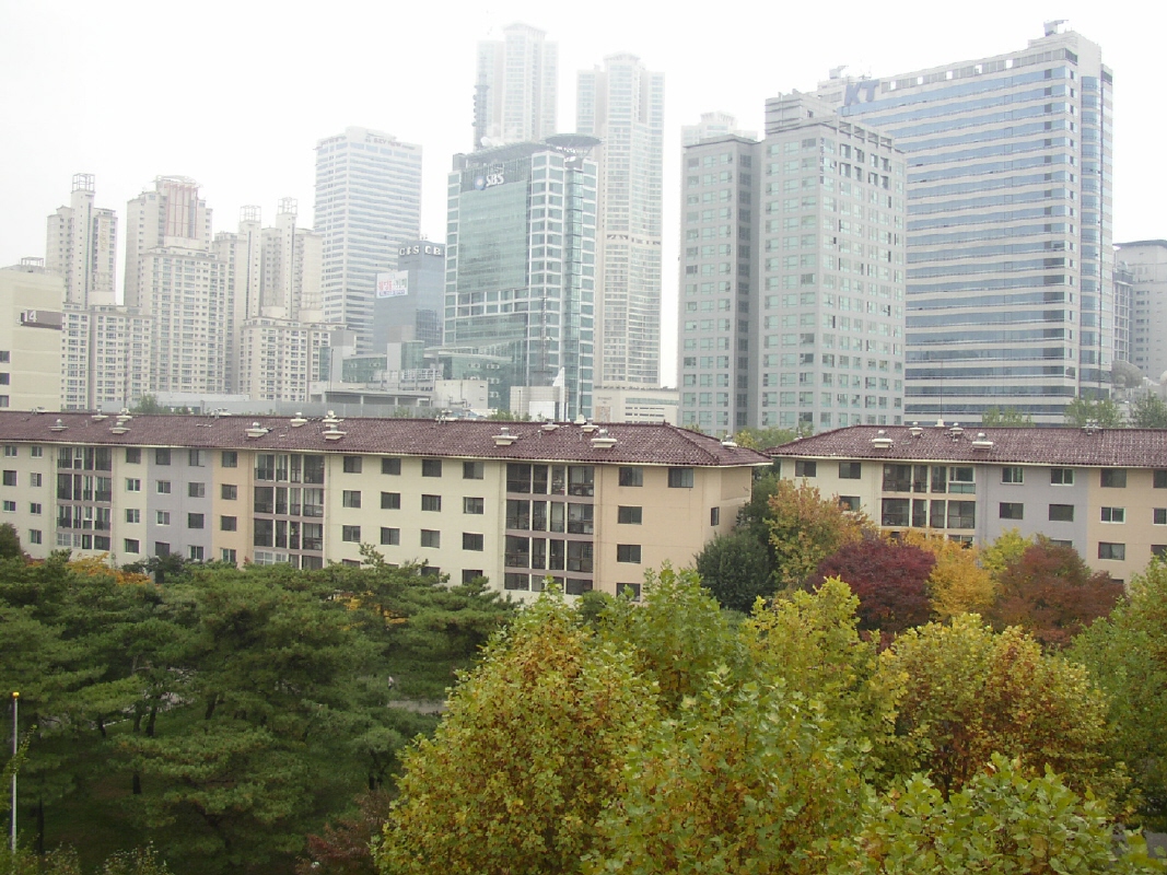 �ܺ����� - ��