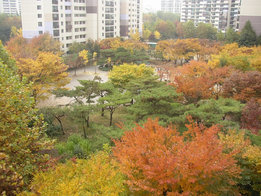 �������� - ������������