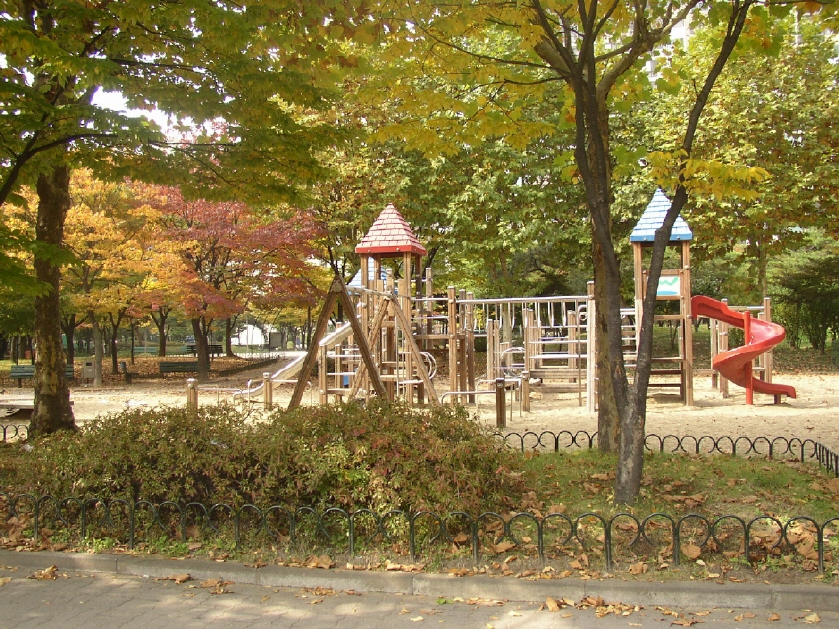 �������ü� - ������