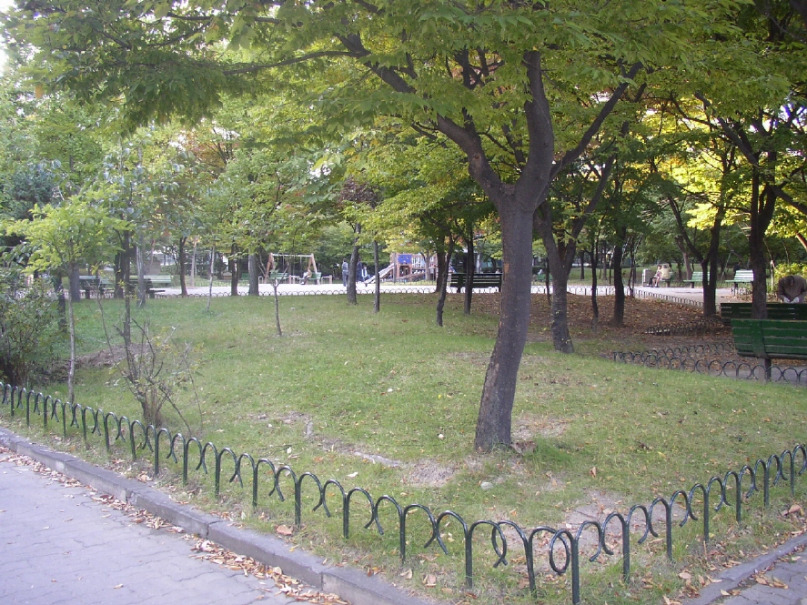 �������� - ������������