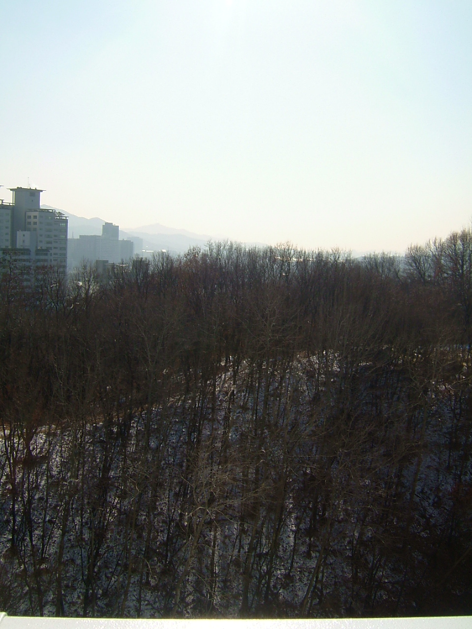 �ܺ����� - ��