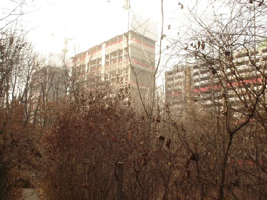 �������� - ��������