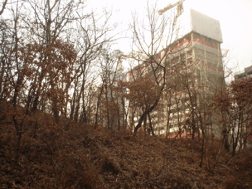 �������� - ��������