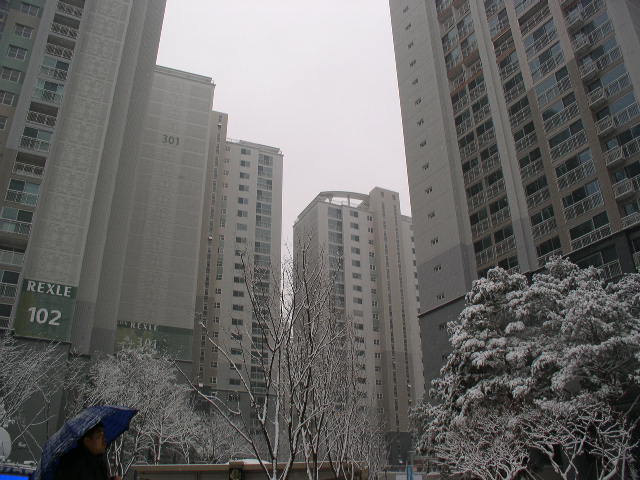 �������� - ��������