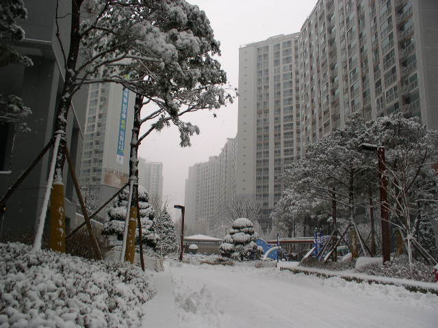 �������� - ������������