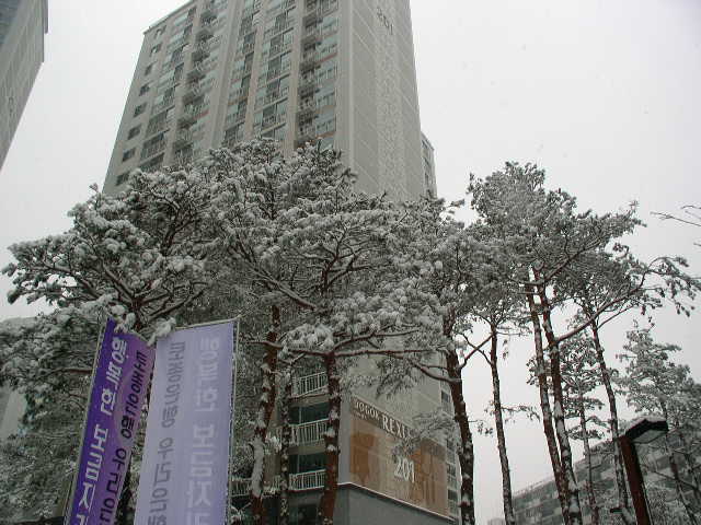 �������� - ��������