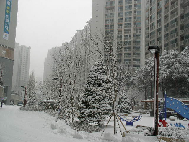 �������� - ������������