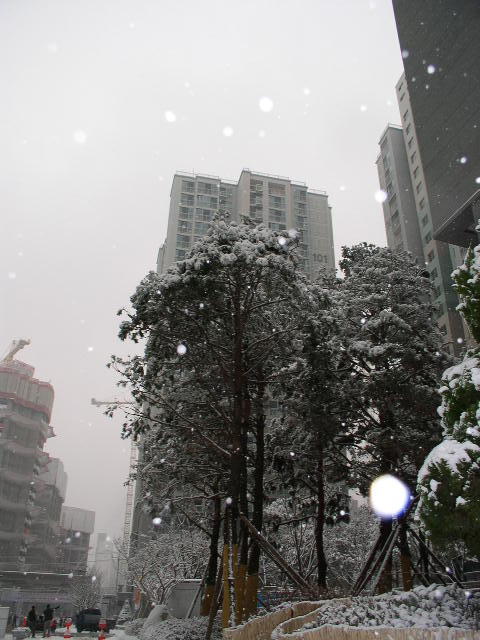 �������� - ������������